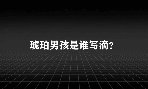 琥珀男孩是谁写滴？