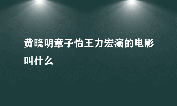 黄晓明章子怡王力宏演的电影叫什么