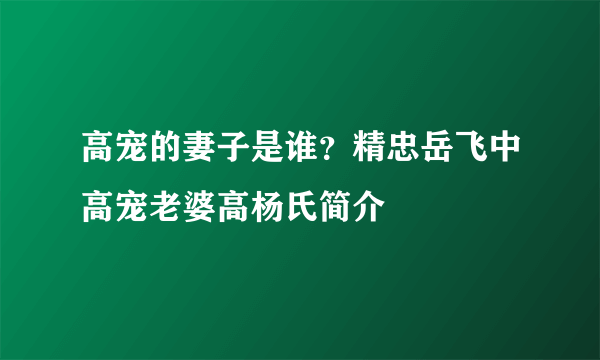 高宠的妻子是谁？精忠岳飞中高宠老婆高杨氏简介