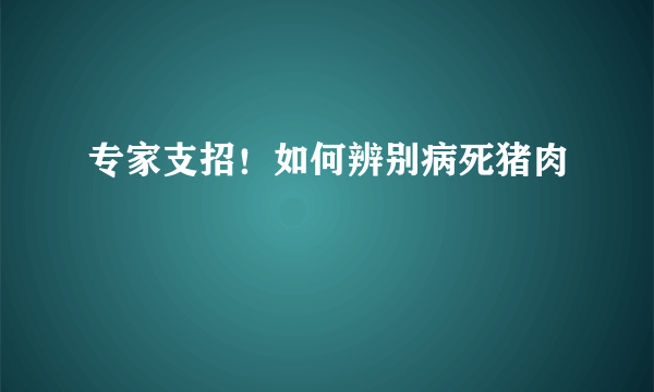 专家支招！如何辨别病死猪肉