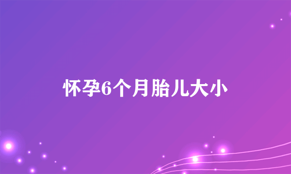 怀孕6个月胎儿大小