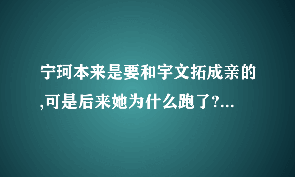 宁珂本来是要和宇文拓成亲的,可是后来她为什么跑了? 她什么时候怀上孩子的？