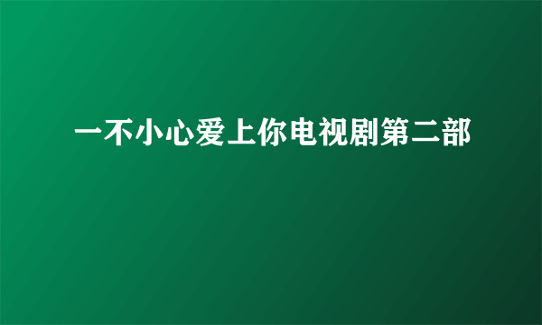 一不小心爱上你电视剧第二部