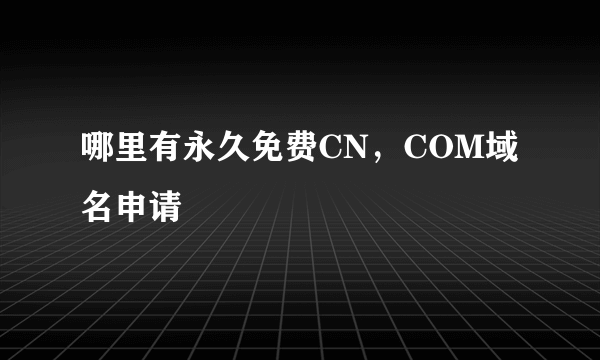 哪里有永久免费CN，COM域名申请