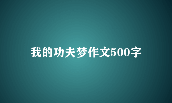 我的功夫梦作文500字