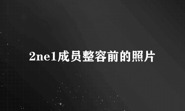 2ne1成员整容前的照片