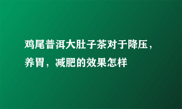 鸡尾普洱大肚子茶对于降压，养胃，减肥的效果怎样