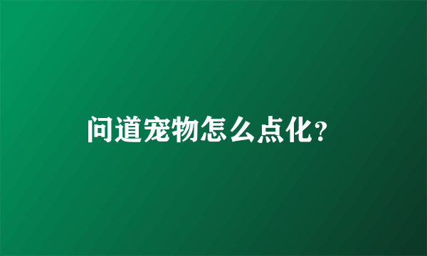 问道宠物怎么点化？