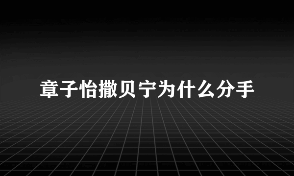 章子怡撒贝宁为什么分手