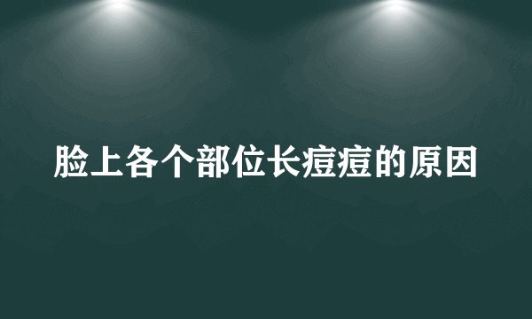 脸上各个部位长痘痘的原因