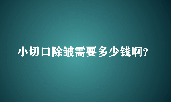 小切口除皱需要多少钱啊？