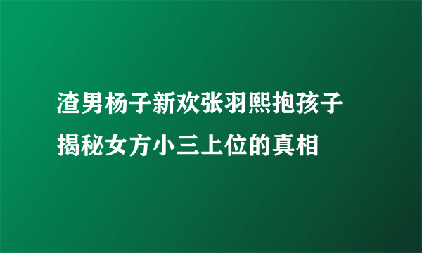 渣男杨子新欢张羽熙抱孩子 揭秘女方小三上位的真相