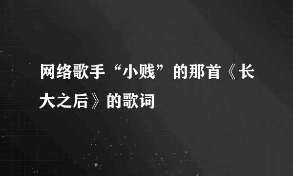 网络歌手“小贱”的那首《长大之后》的歌词