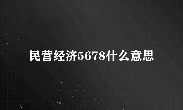 民营经济5678什么意思