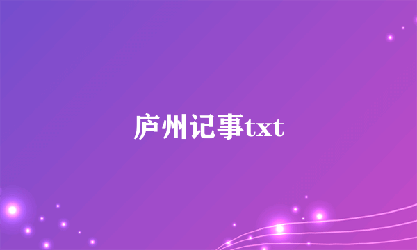 庐州记事txt