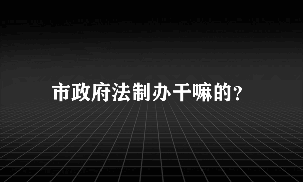 市政府法制办干嘛的？