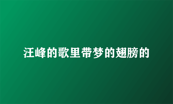 汪峰的歌里带梦的翅膀的