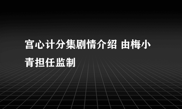 宫心计分集剧情介绍 由梅小青担任监制