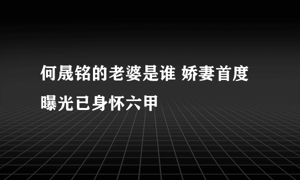 何晟铭的老婆是谁 娇妻首度曝光已身怀六甲