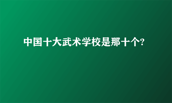 中国十大武术学校是那十个?