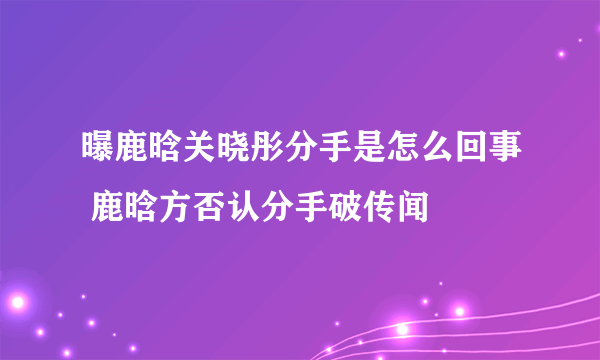 曝鹿晗关晓彤分手是怎么回事 鹿晗方否认分手破传闻