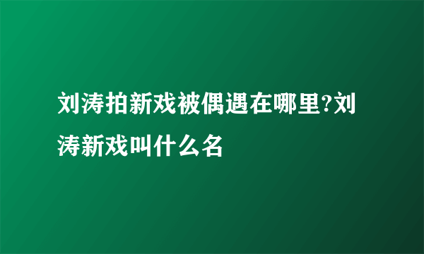 刘涛拍新戏被偶遇在哪里?刘涛新戏叫什么名