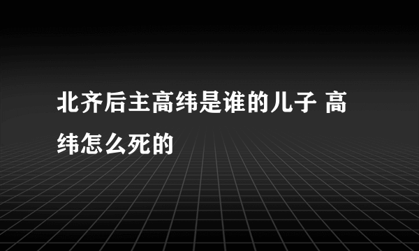 北齐后主高纬是谁的儿子 高纬怎么死的