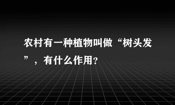 农村有一种植物叫做“树头发”，有什么作用？