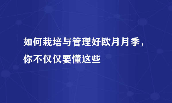 如何栽培与管理好欧月月季，你不仅仅要懂这些