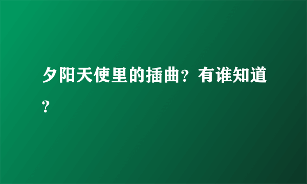 夕阳天使里的插曲？有谁知道？