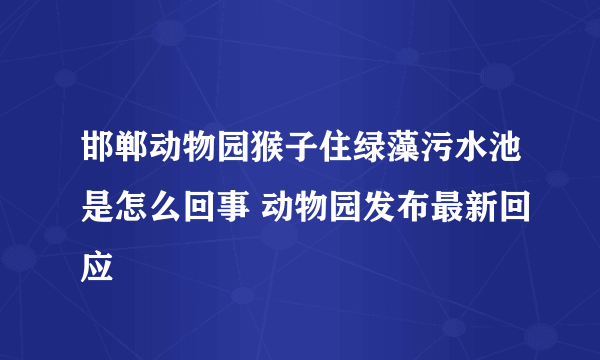 邯郸动物园猴子住绿藻污水池是怎么回事 动物园发布最新回应