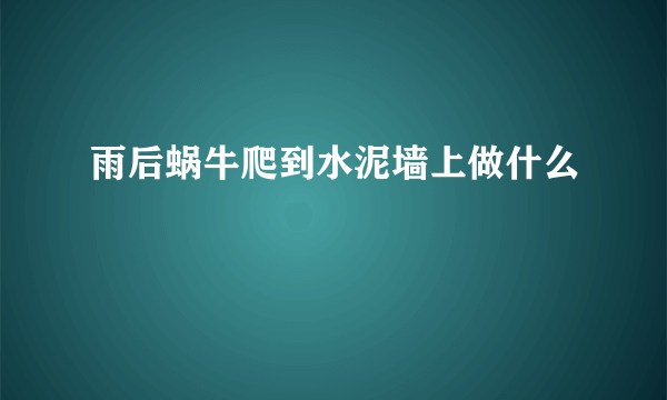 雨后蜗牛爬到水泥墙上做什么