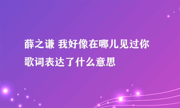 薛之谦 我好像在哪儿见过你歌词表达了什么意思