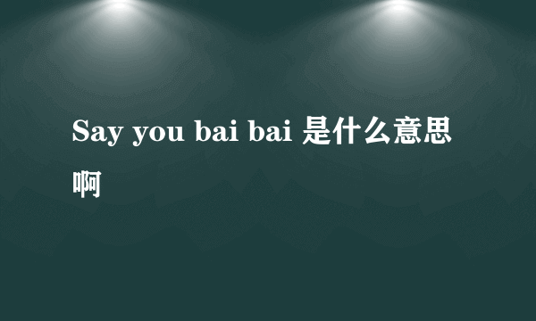 Say you bai bai 是什么意思啊