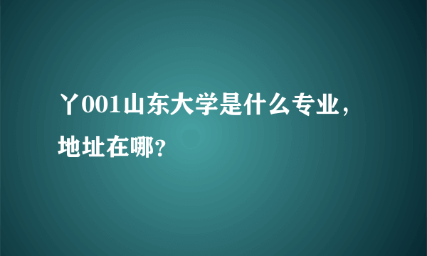 丫001山东大学是什么专业，地址在哪？