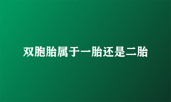 双胞胎属于一胎还是二胎