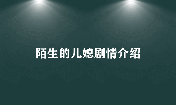 陌生的儿媳剧情介绍