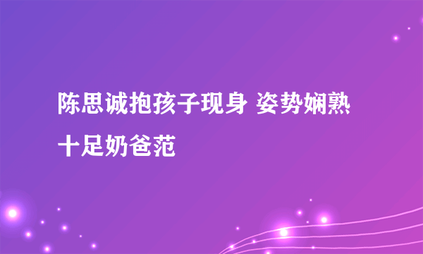 陈思诚抱孩子现身 姿势娴熟十足奶爸范