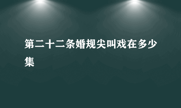 第二十二条婚规尖叫戏在多少集