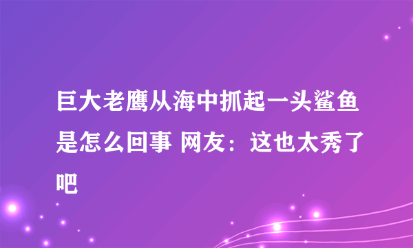 巨大老鹰从海中抓起一头鲨鱼是怎么回事 网友：这也太秀了吧