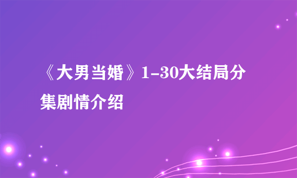 《大男当婚》1-30大结局分集剧情介绍