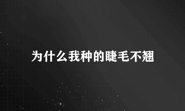 为什么我种的睫毛不翘