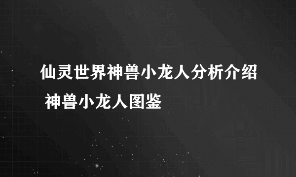 仙灵世界神兽小龙人分析介绍 神兽小龙人图鉴