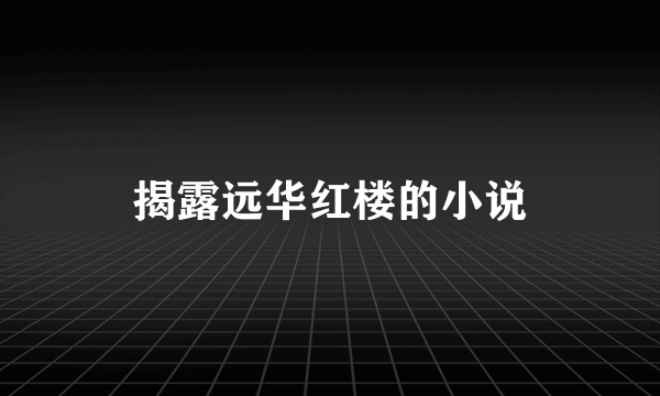 揭露远华红楼的小说