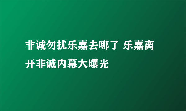 非诚勿扰乐嘉去哪了 乐嘉离开非诚内幕大曝光