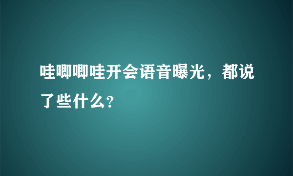 哇唧唧哇开会语音曝光，都说了些什么？