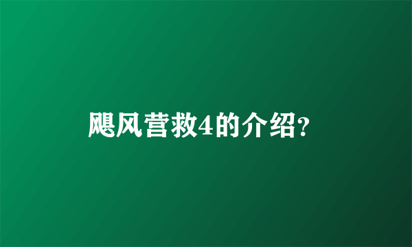 飓风营救4的介绍？