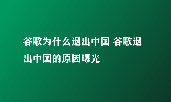 谷歌为什么退出中国 谷歌退出中国的原因曝光