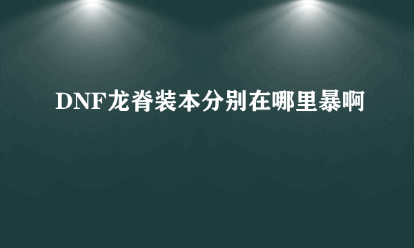 DNF龙脊装本分别在哪里暴啊