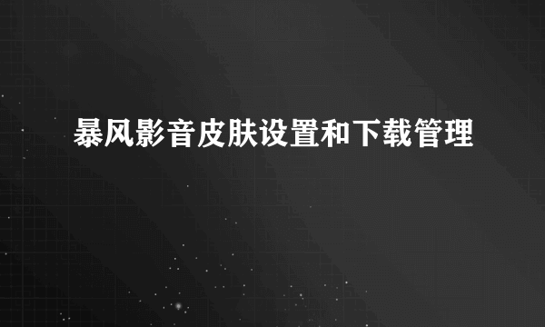 暴风影音皮肤设置和下载管理